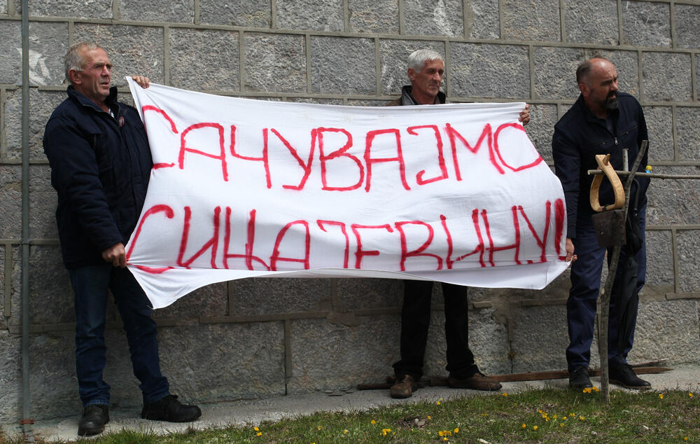 Nekoliko stotina ljubitelja Sinjajevine okupilo se danas ispred crkve Ružice, u znak protesta zbog namjere Ministarstva odbrane da tu planinu koristi kao vojno vježbališni poligon.