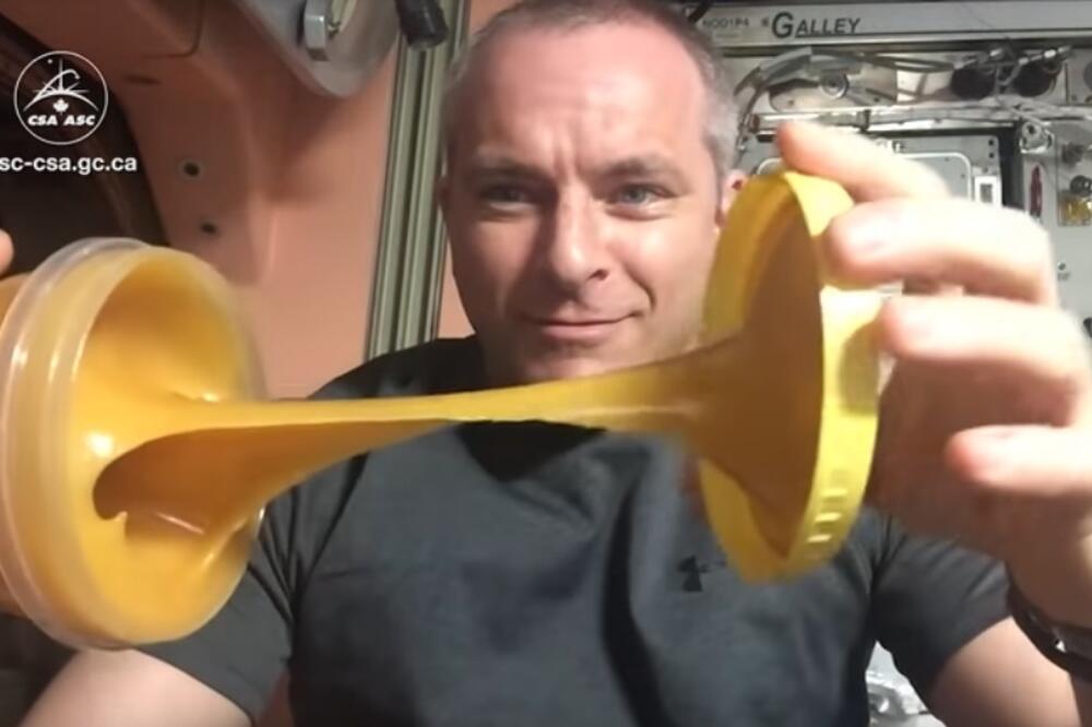 Dejvid Sen Žak, Foto: Screenshot