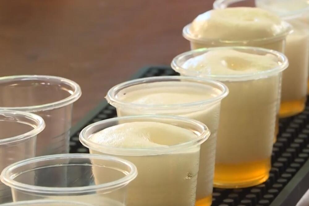 Pivo, Foto: Screenshot/Youtube