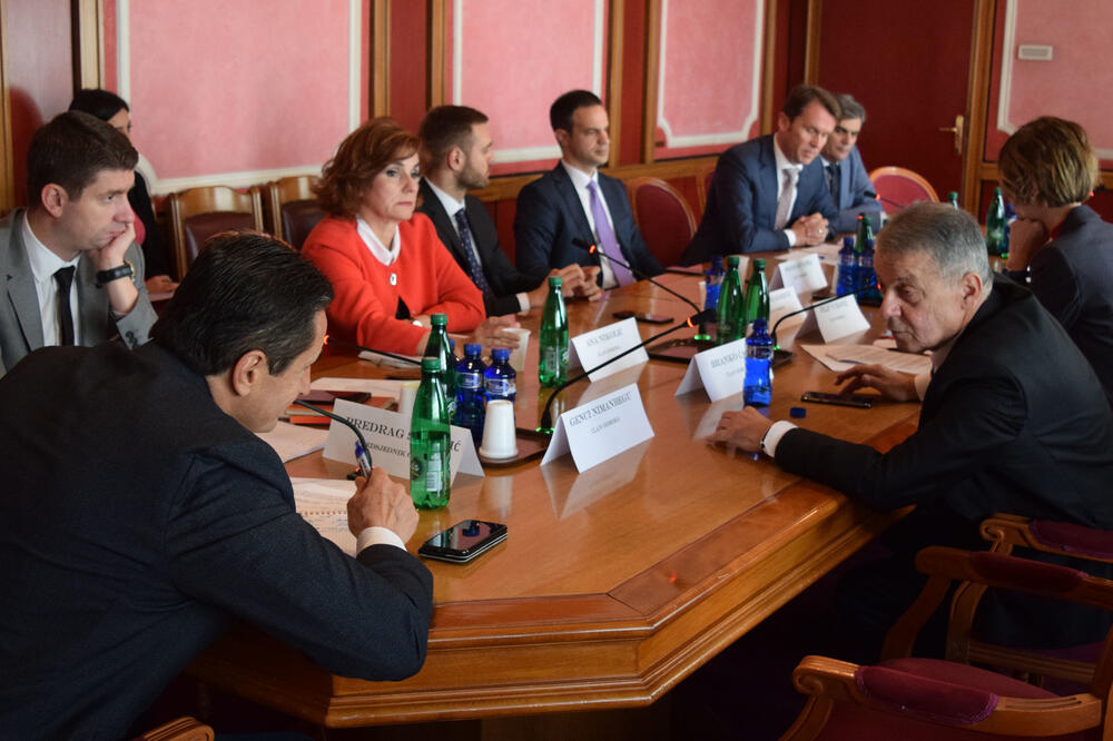 Izmjene zakona će biti novi trošak za budžet: Sa sjednice odbora, Foto: Luka Zeković