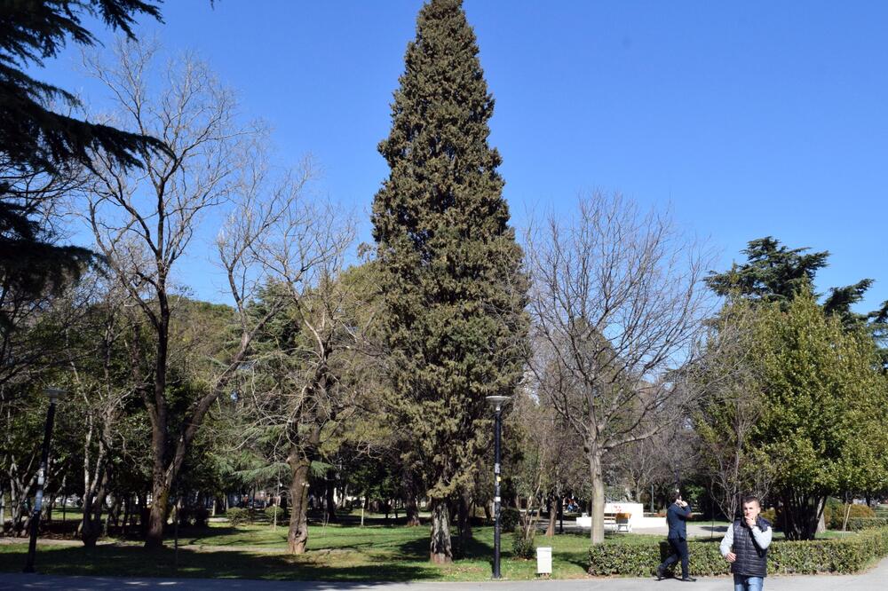 Njegošev park, Foto: Luka Zeković