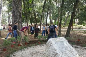 Nove sadnice u tivatskom Gradskom parku