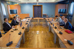 Savjet za građansku kontrolu rada policije: Država adekvatno...