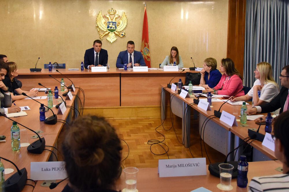 Sa sjednice Odbora (arhiva), Foto: Boris Pejović