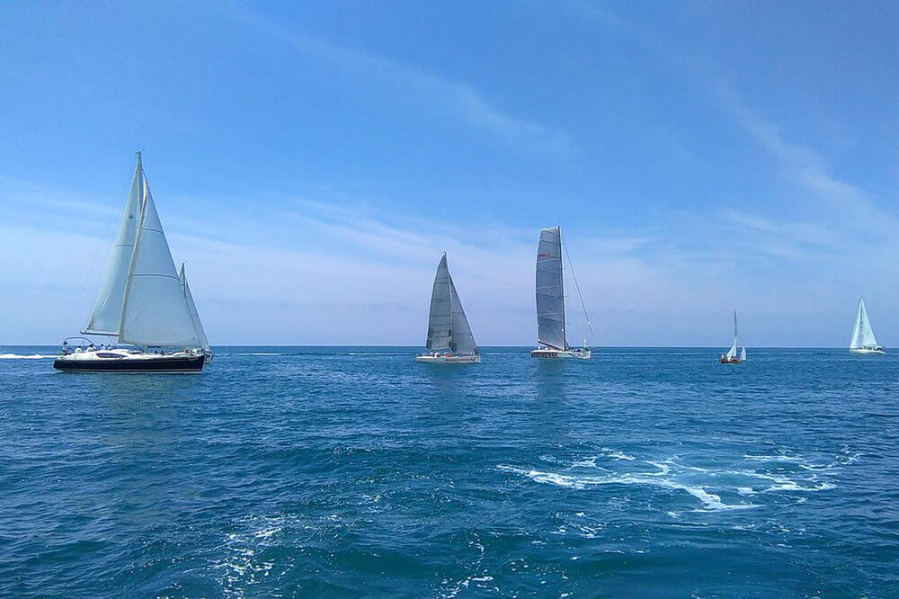 Regata, Foto: Luka Petrić, Luka Petrić