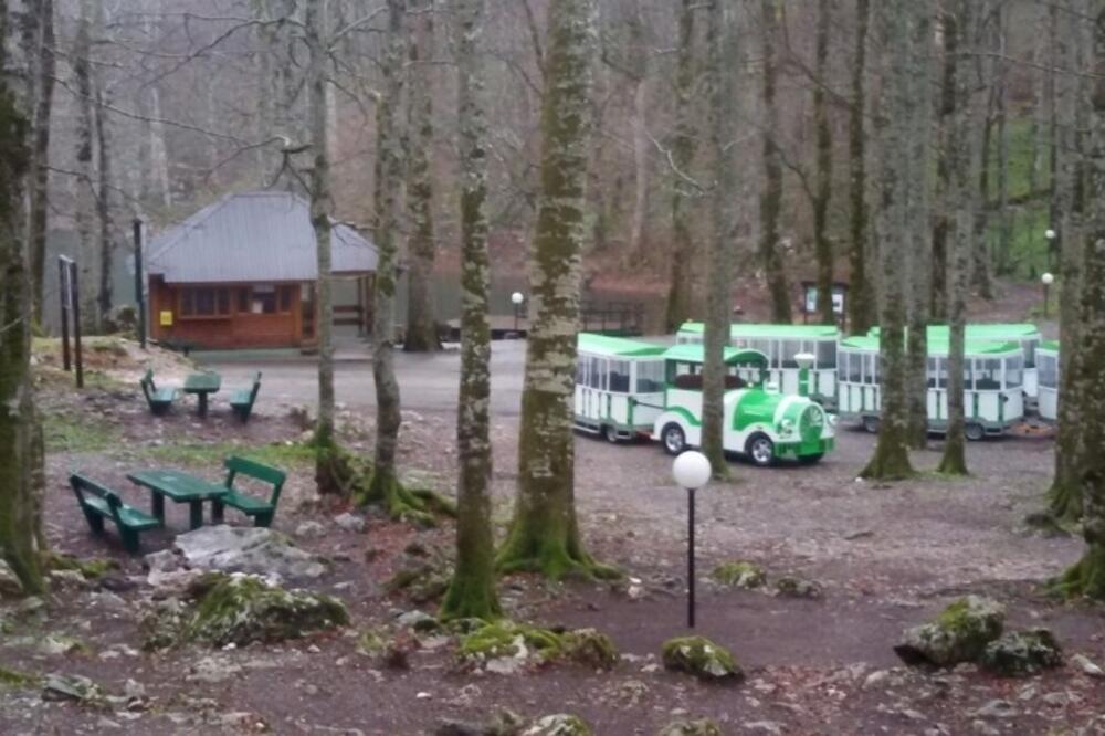 Turistički vozići od pola miliona juče su prevozili nadležne, Foto: NPCG