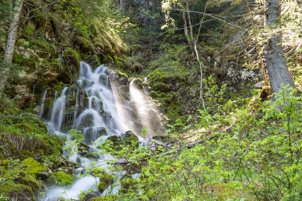 Potoci vode slivaju se u jezero, Foto: Dejan Dajković