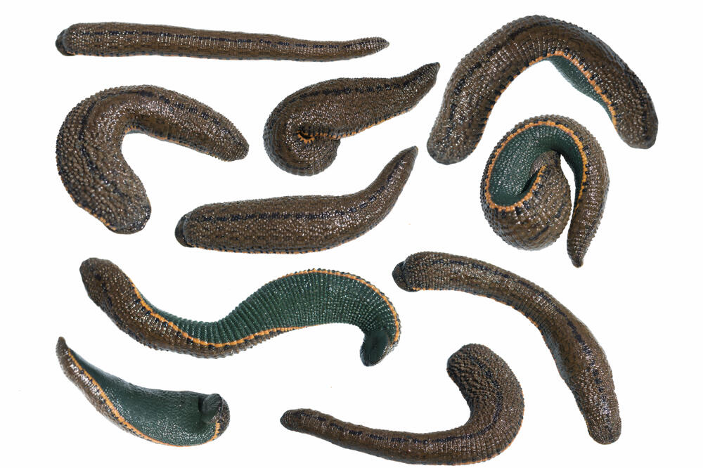 Ilustracija, Foto: Shutterstock