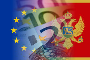 Institut alternativa o izvještaju o Crnoj Gori: Prvi u trci, a...