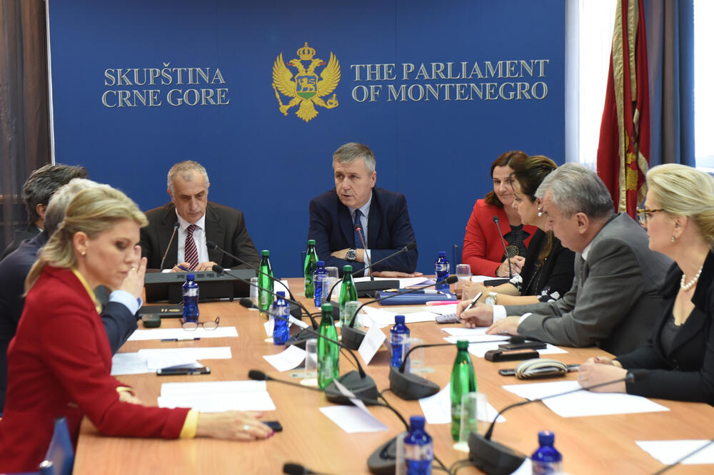 Opozicija se vratila u odbor: Sa jučerašnje sjednice, Foto: Savo Prelević