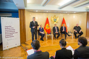 Brajović: Evropska budućnost prevazilazi partijske i pojedinačne...