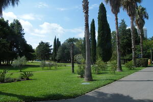 Spasavaju jedini park u Budvi od gradnje