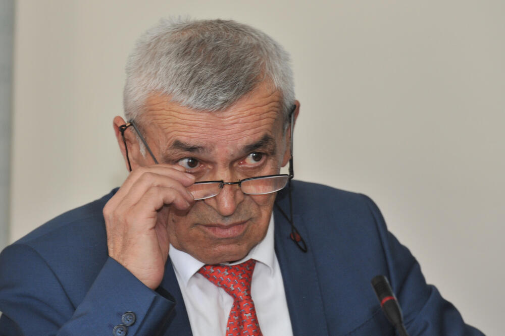 Već imaju 115 vozila: Košuta, Foto: Savo Prelević