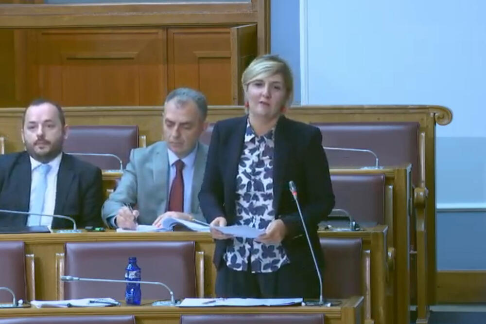 Sekulić danas u Skupštini, Foto: Screenshot