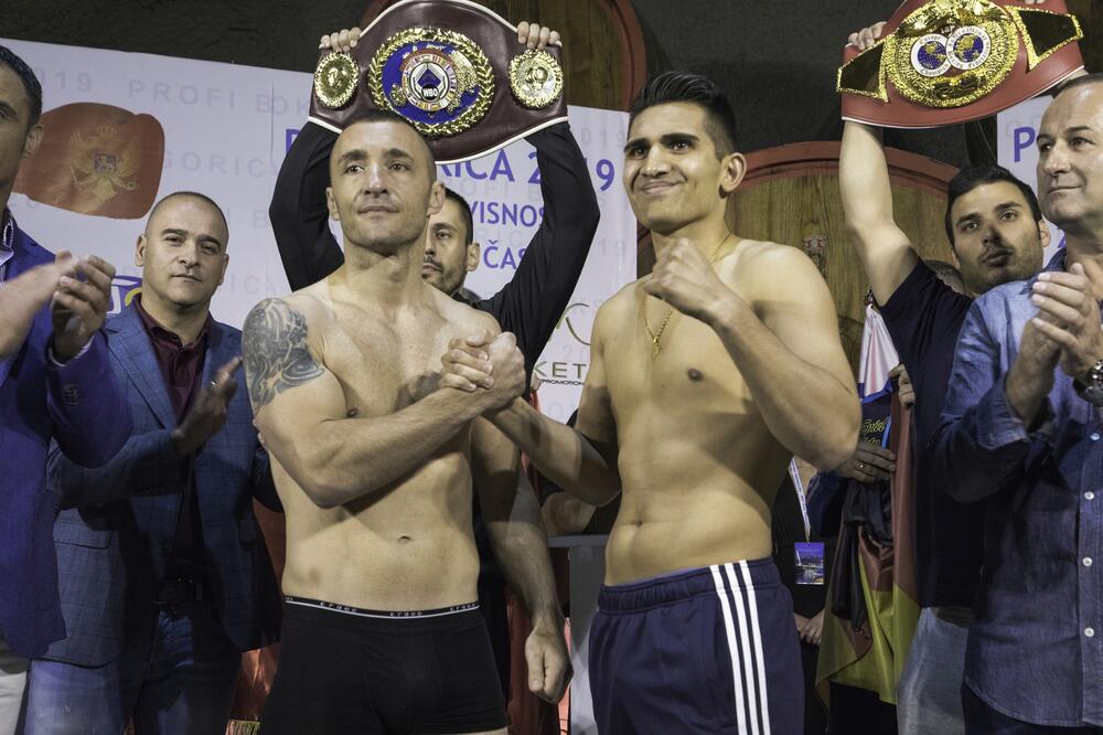 Radošević i Saidi žele oba profi pojasa, Foto: Boban Nikić