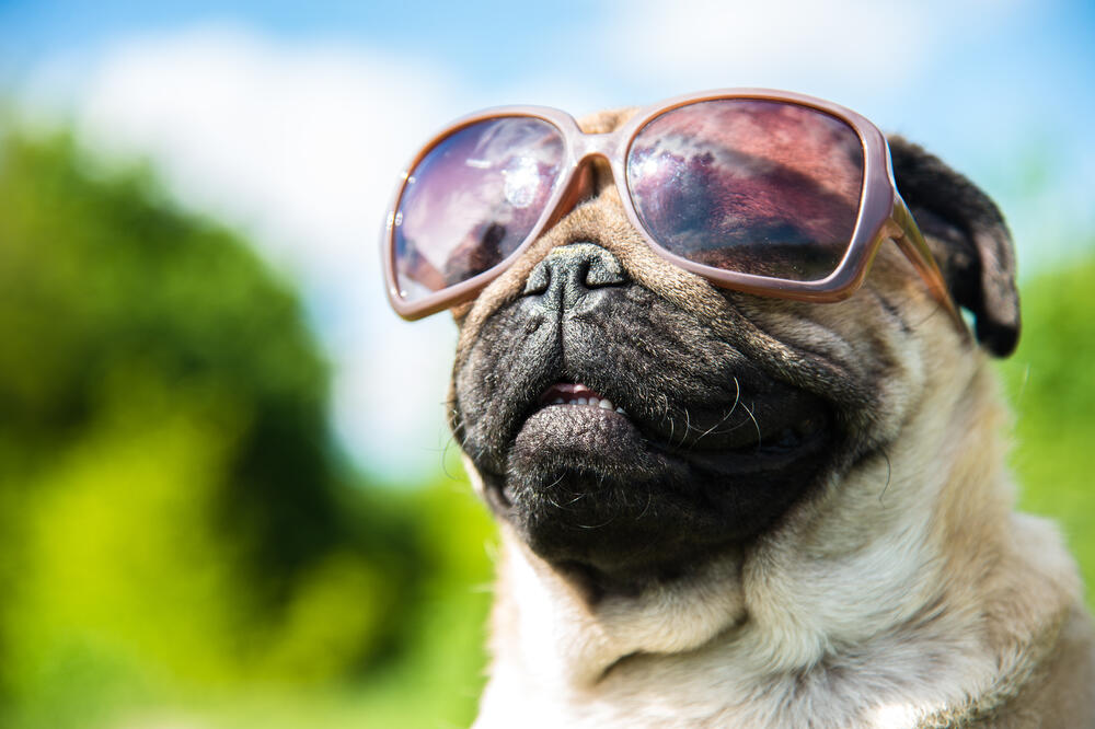 Ilustracija, Foto: Shutterstock