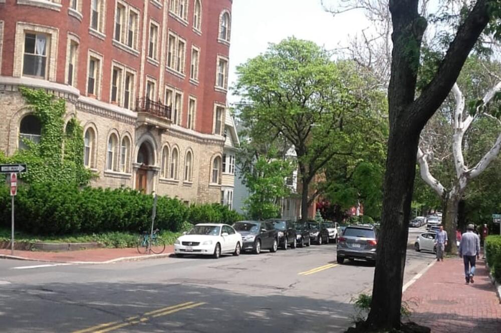 Harvard st., Foto: Lara Vujović