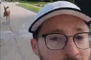 VIDEO Kad dobiješ neočekivano društvo dok trčiš: Jeleni kao dobri...