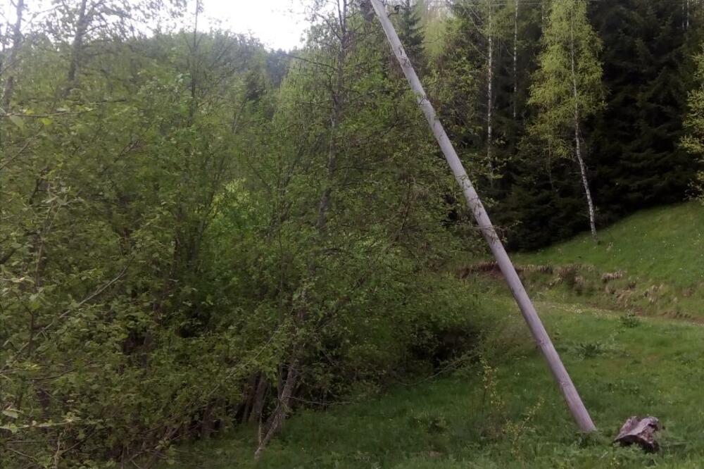 Oboreni stubovi u Baricama, Foto: Privatna arhiva