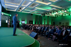 Simović: Potrebna održiva valorizacija prirodnih potencijala