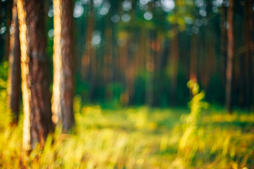 Ilustracija, Foto: Shutterstock