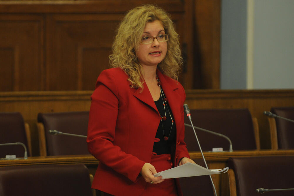 Mirel Radić u Skupštini (arhiva), Foto: Savo Prelević