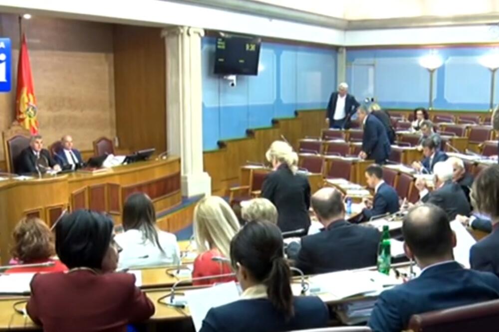 Detalj iz Skupštine Crne Gore, Foto: Screenshot/TV Vijesti