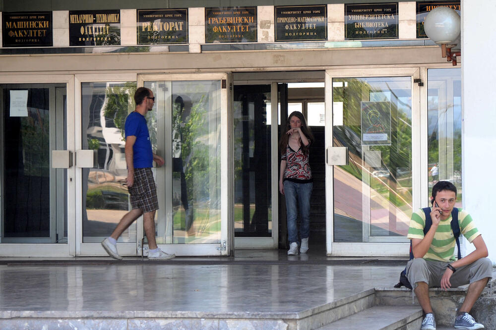 Ilustracija, Foto: Boris Pejović