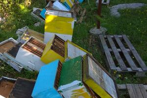 Vandali na Krivošijama oštetili košnice