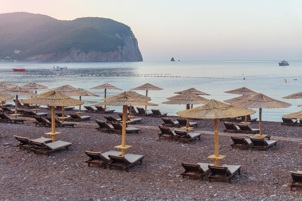 Bularica je "pet friendly", Foto: Shutterstock