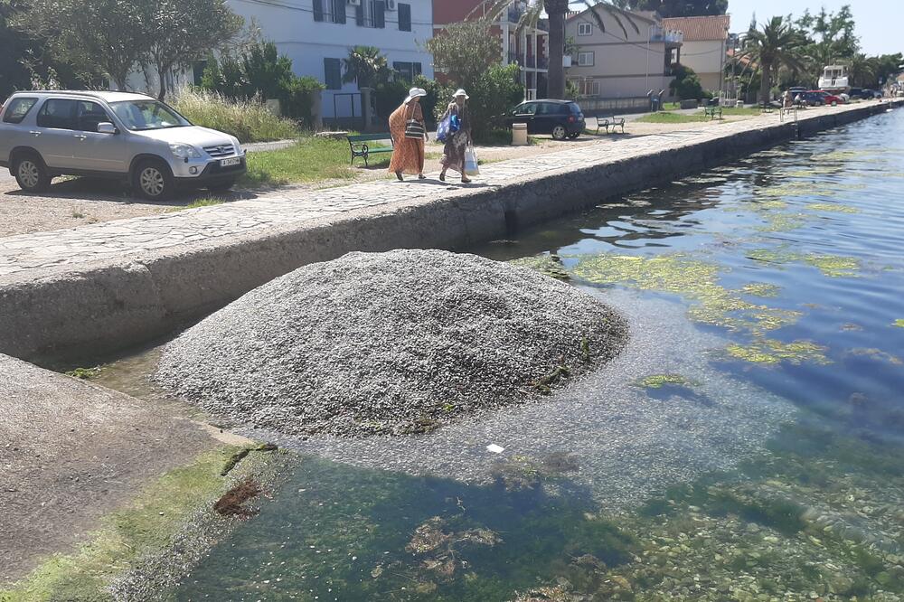 Izručeni šljunak u Donjoj Lastvi, Foto: Siniša Luković