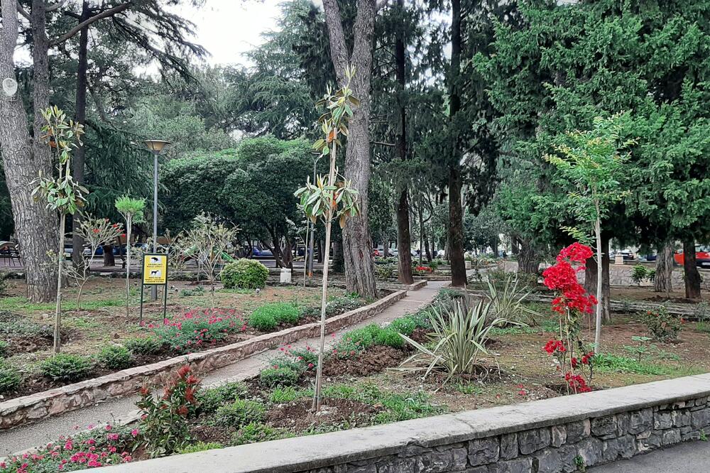 Mali gradski park u Tivtu, Foto: Siniša Luković