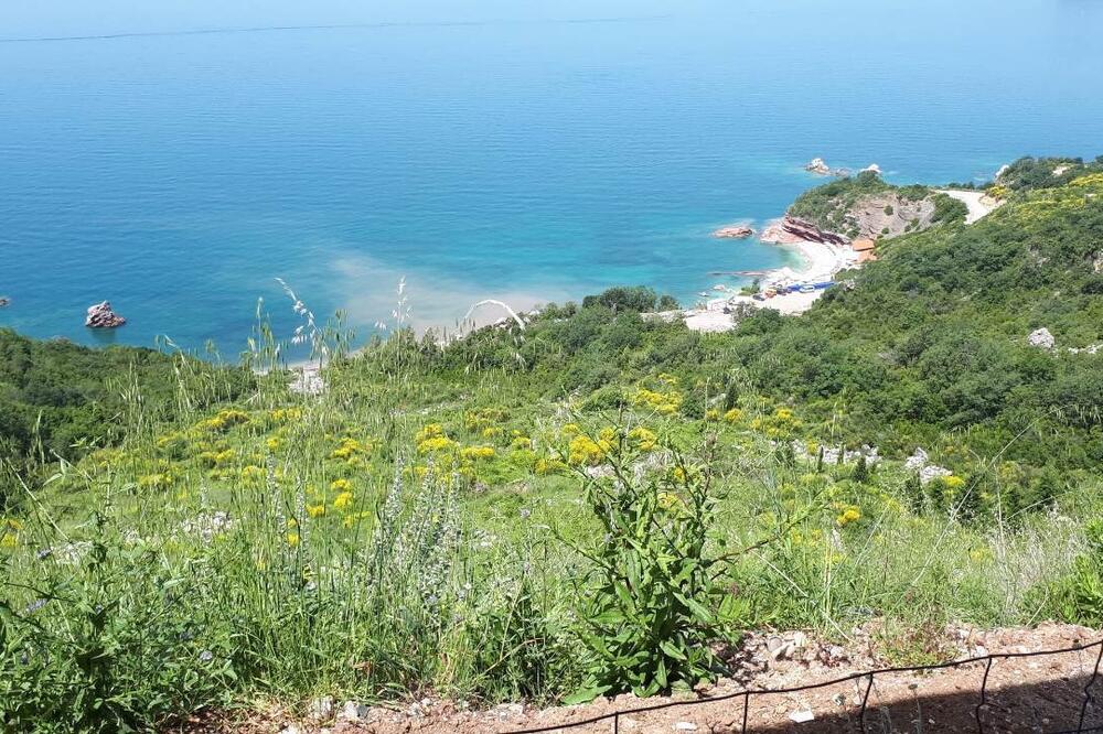 Sadašnji izgled plaža, Foto: Vuk Lajović