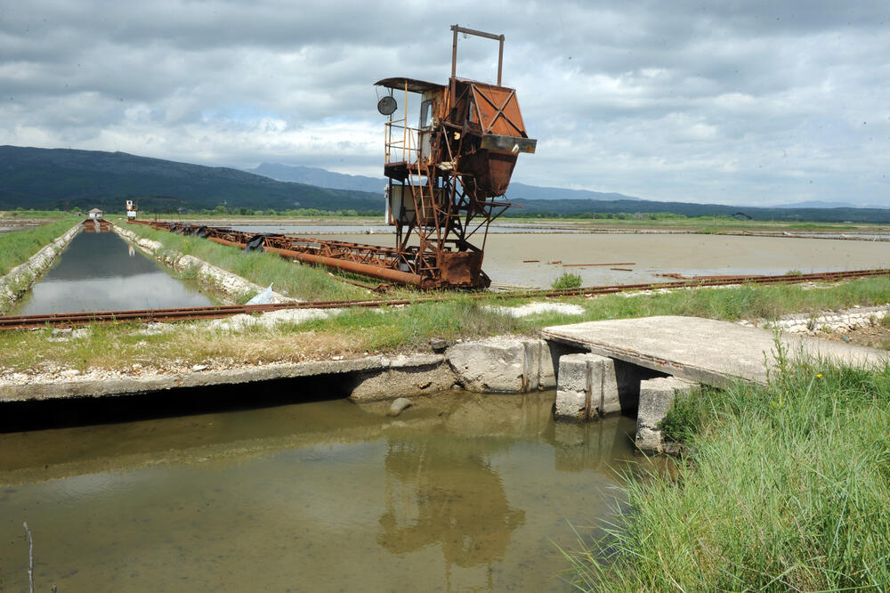 Akcije Eurofonda u Solani skrivene na kastodi računu u NLB banci, Foto: Savo Prelević