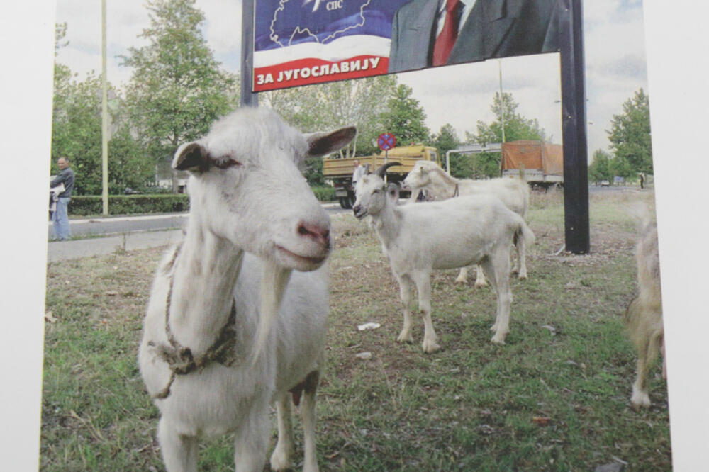 U susret "događanju naroda", Foto: Feđa Krvavac