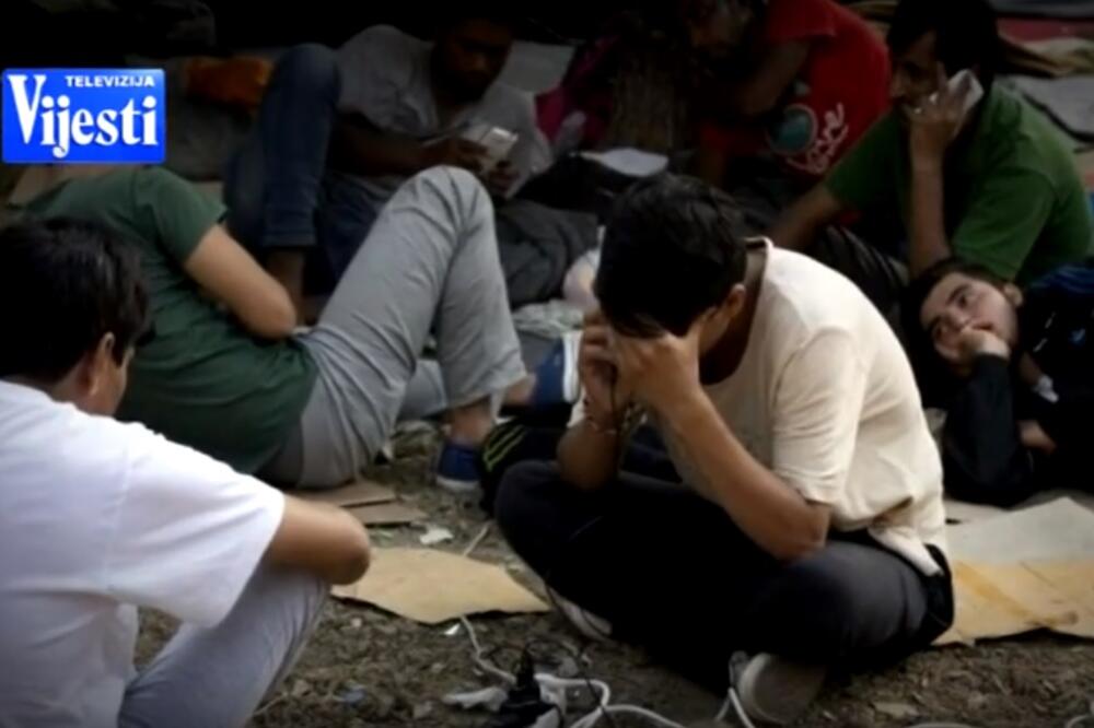 Ilustracija, Foto: Screenshot