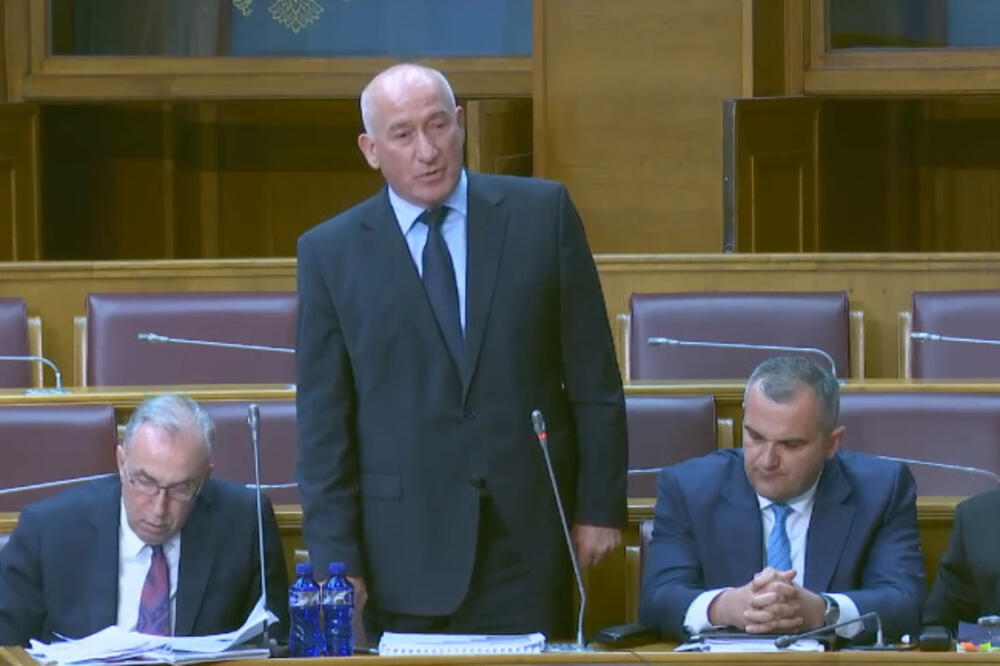 Katnić danas u Skupštini, Foto: Printscreen YouTube