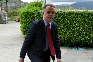 Danilović pitao Markovića: Zašto ne branite životinje, ako već ne...