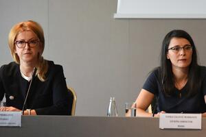 Ćalović Marković: Da ima volje, Zakon o SPI bi promijenili za pola...