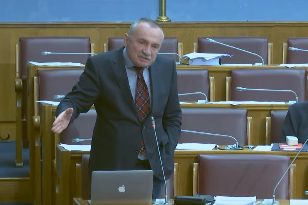 Radulović danas u Skupštini, Foto: Screenshot/YouTube