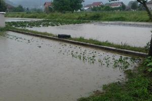 Poplava u Sutivanu: Njive uništene, voda došla do kuća