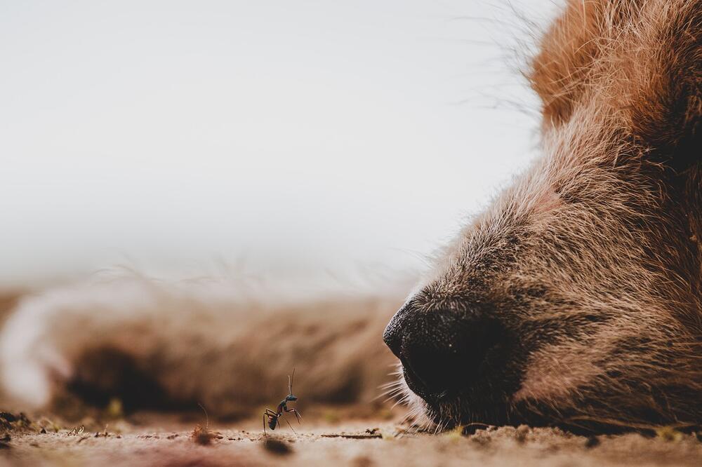 Ilustracija, Foto: Pixabay