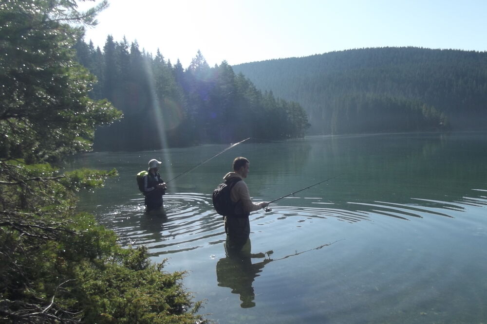 Riblji fond sve manji, Foto: Obrad Pješivac