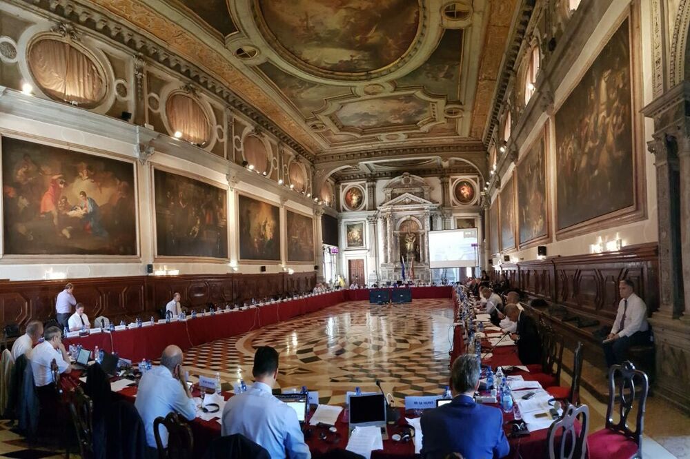 Sa plenarne sjednice Venecijanske komisije, Foto: Gov.me, Gov.me