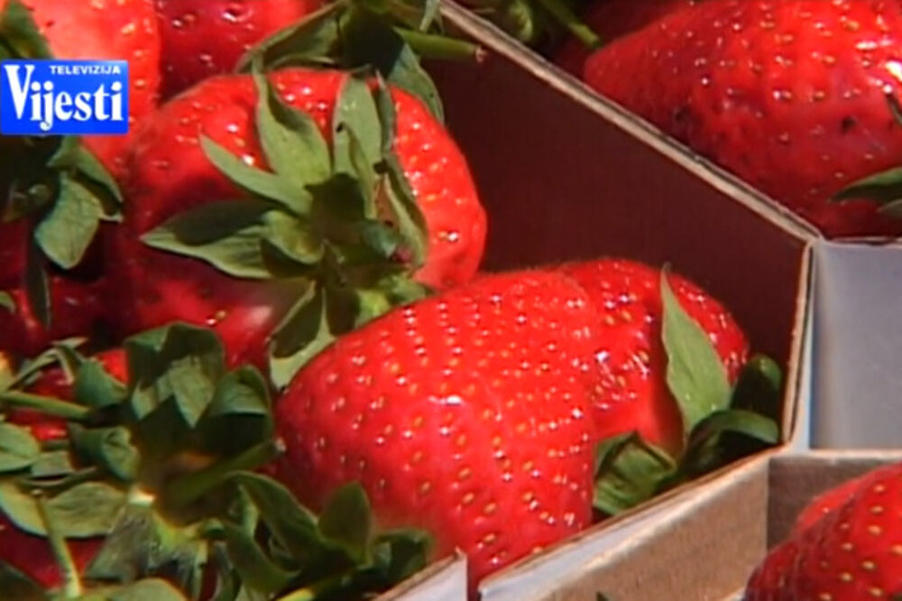 Jagode, Foto: Printscreen YouTube