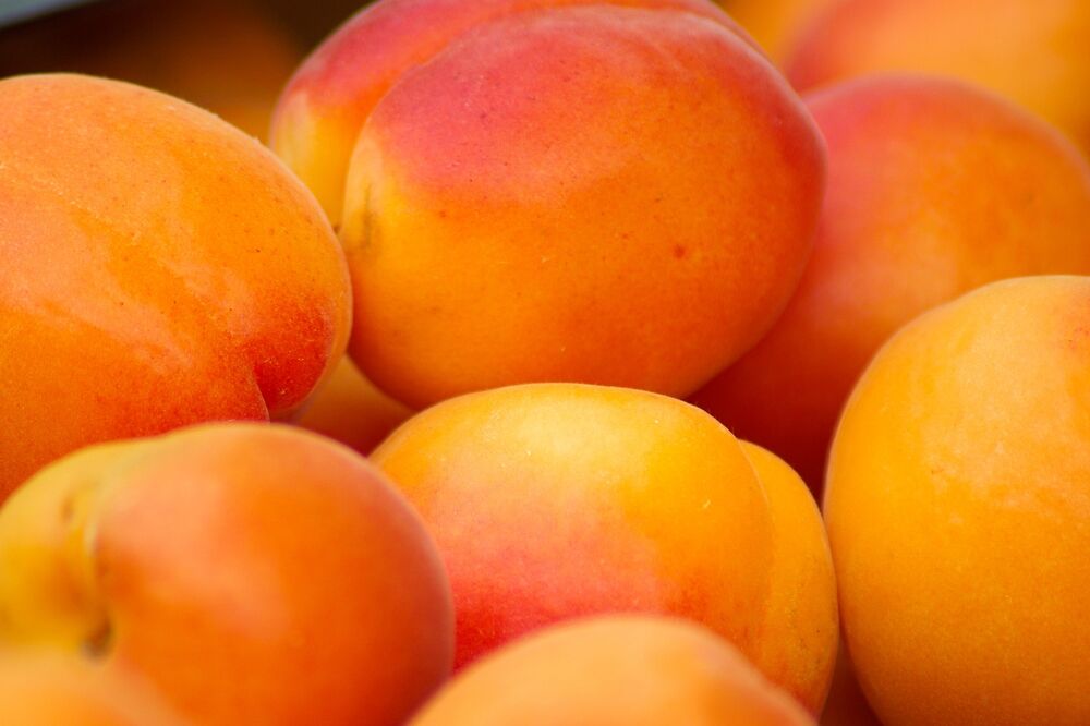 Ilustracija, Foto: Pixabay