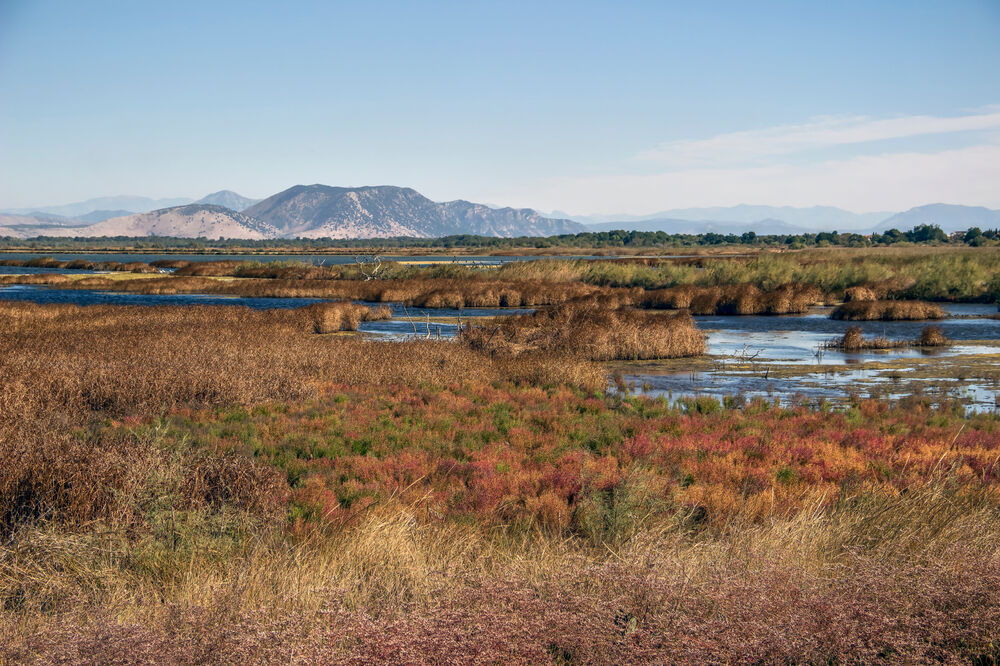 Ulcinjska solana, Foto: Shutterstock