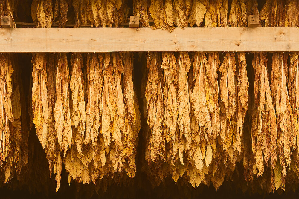 Ilustracija, Foto: Shutterstock