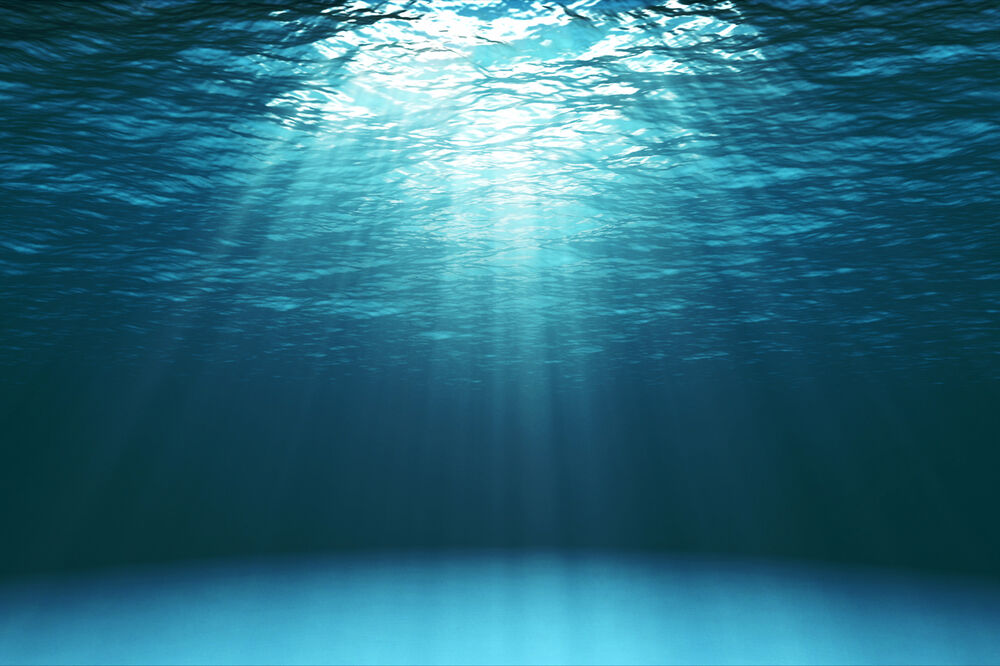 Ilustracija, Foto: Shutterstock