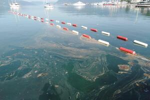 URA Tivat: Čistoća vode na obali ugrožena, Morsko dobro da pojasni...